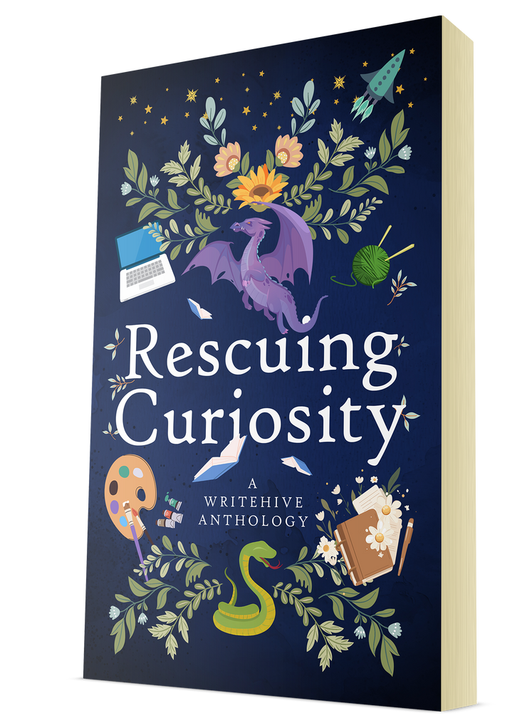 Rescuing Curiosity (Paperback)